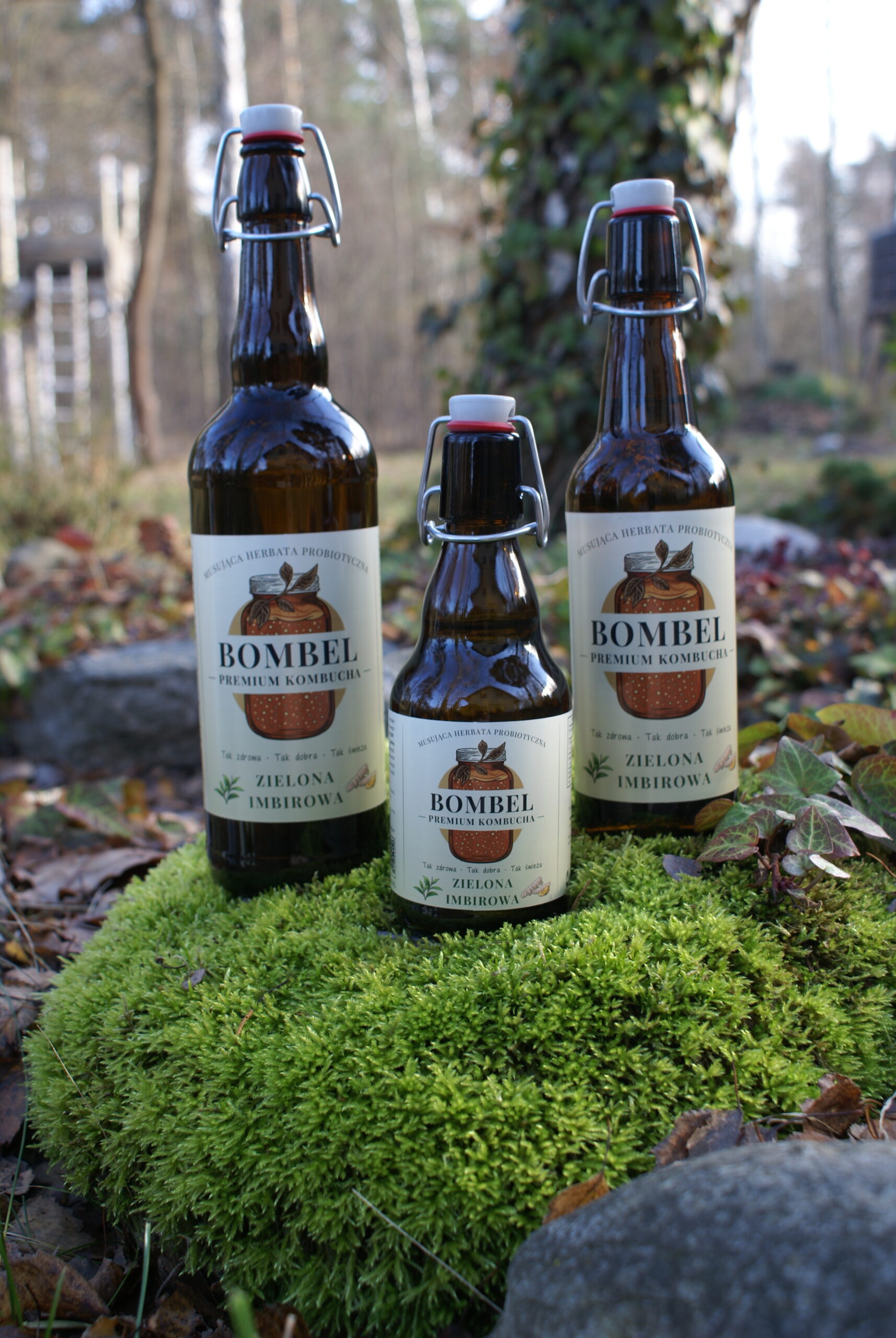 Bombel Kombucha – Zielona imbirowa wszystkie