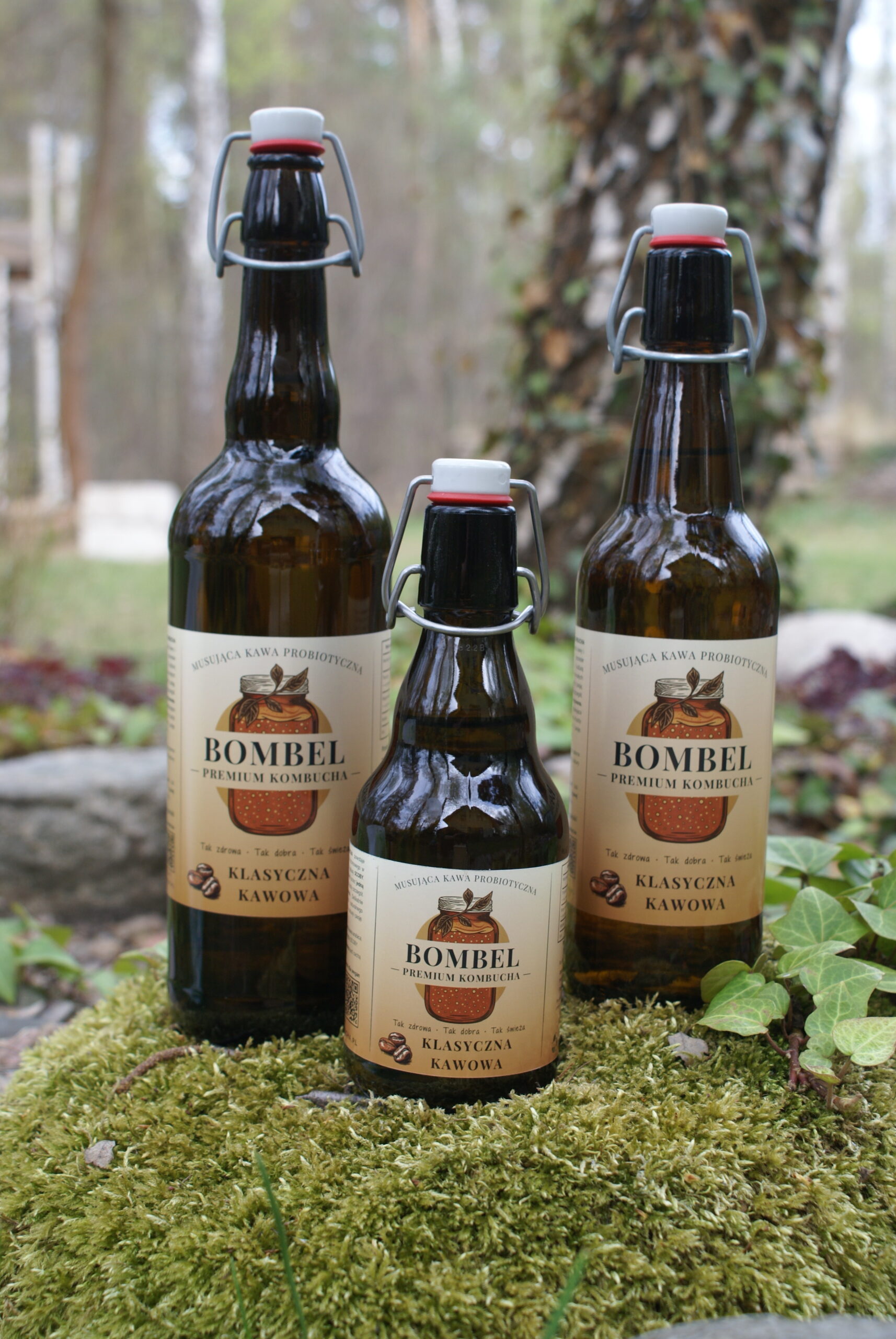 Bombel Kombucha - Klasyczna kawowa - wszystkie
