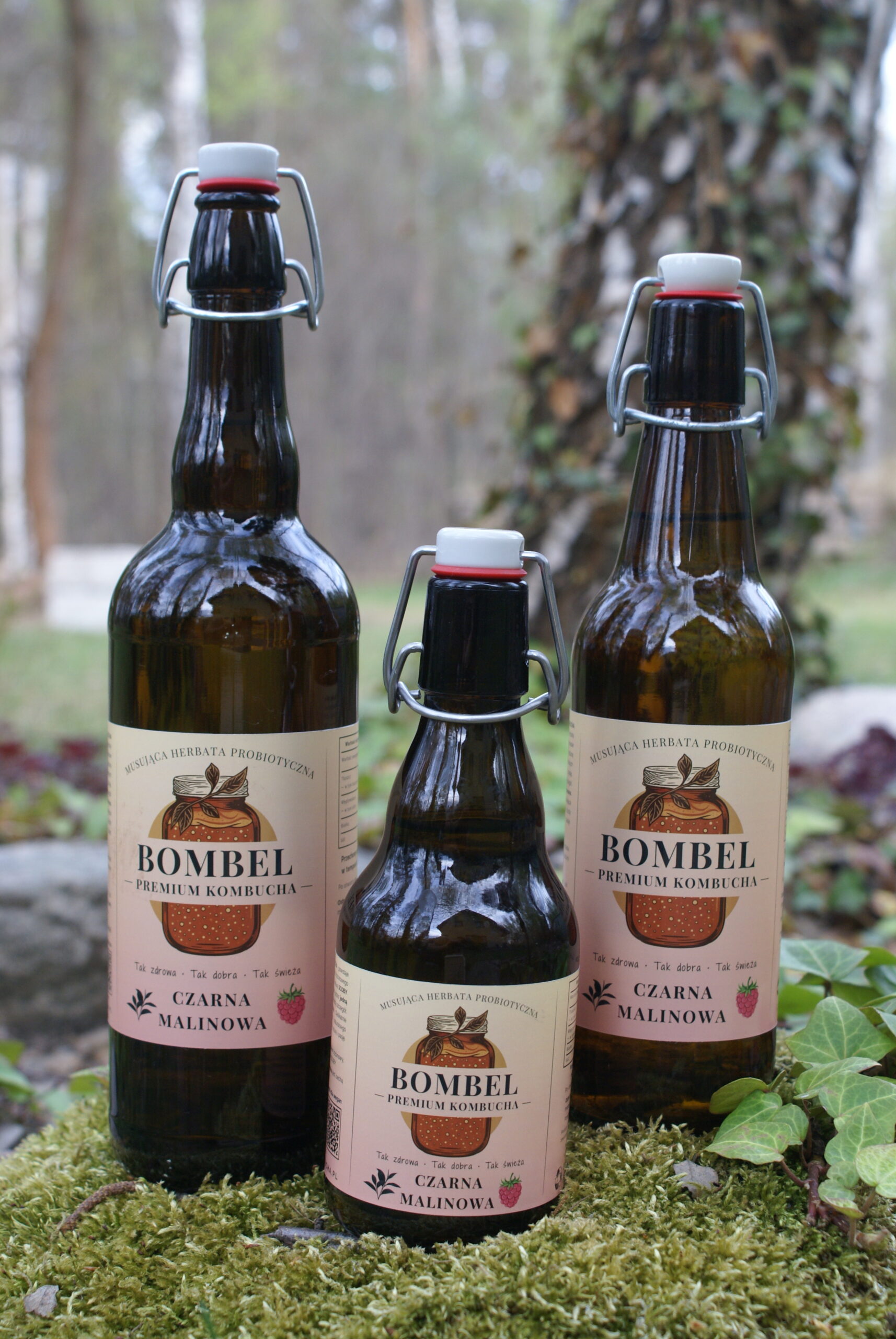Bombel Kombucha - Czarna malinowa - wszystkie