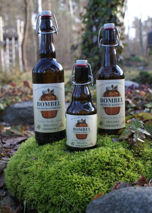 Bombel Kombucha – Zielona imbirowa wszystkie