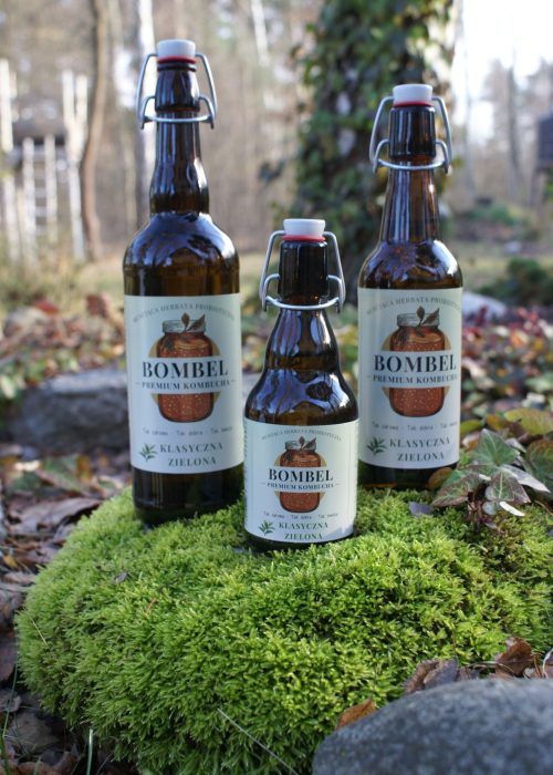 Bombel Kombucha - Zielona klasyczna wszystkie