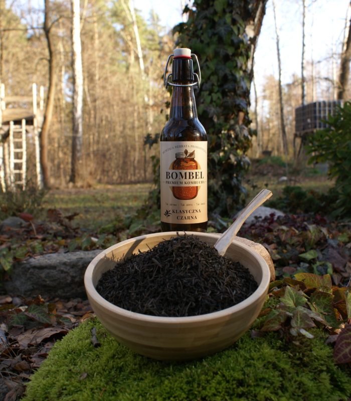 Bombel Kombucha - rzemieślnicza kombucha